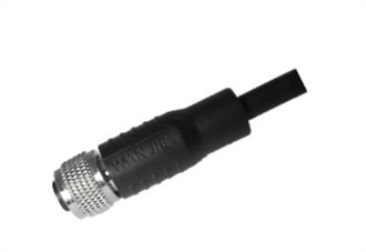 Escut recte femení M12 A-Codificació